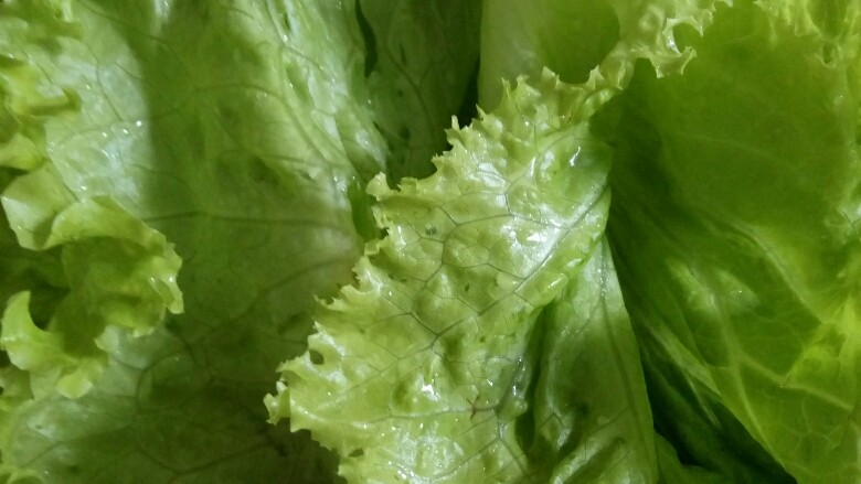 培根寿司卷,生菜洗干净,控干水。