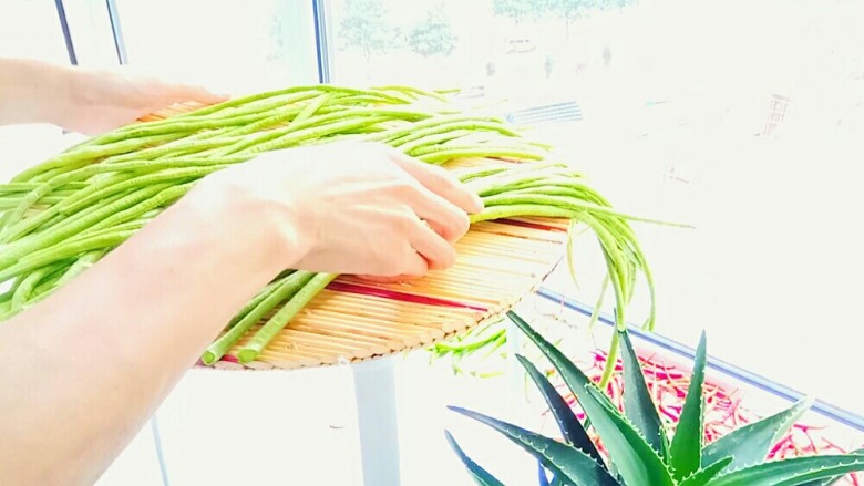 自制酸豆角,把豇豆摊开,把水分完全晾干。