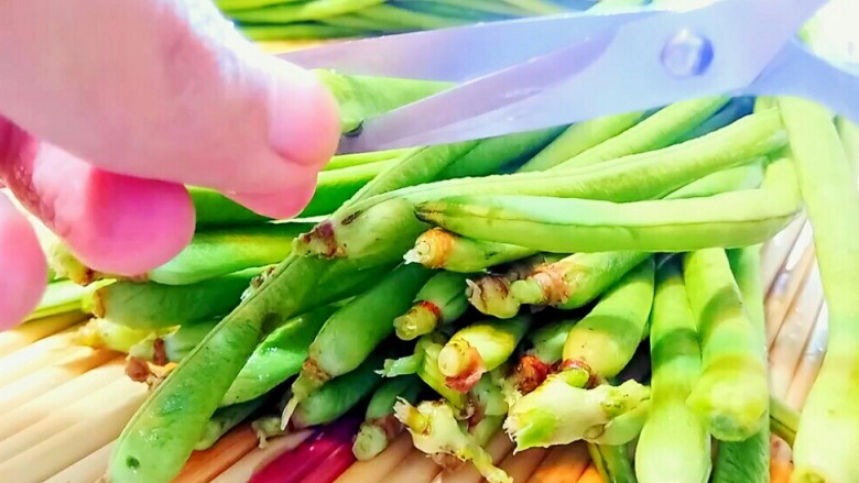 自制酸豆角,捞出来,用剪刀剪去头和尾。