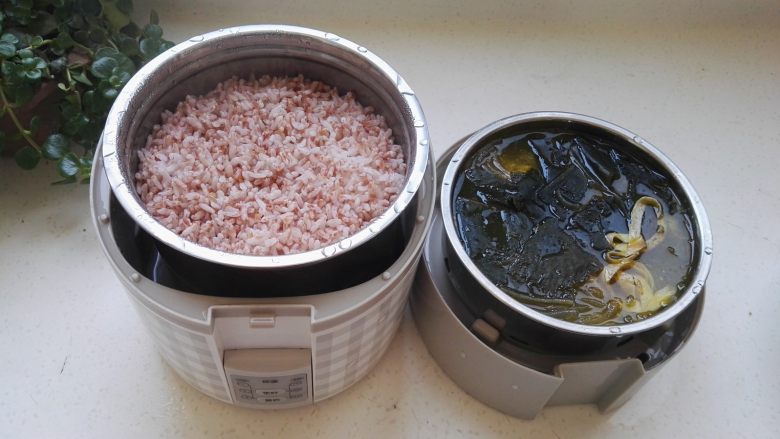 红粳米饭 ,.打开盖,鸡汤烩菜做好了,香香的红粳米饭也蒸好了。