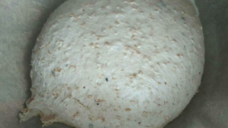 蓝莓坚果大个欧式面包,简单折叠整圆准备一发。
面团含水量很高,整形的时候容易粘手。撒粉或者手沾水都可以,要快,不要反复整,不是很圆也可以。