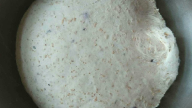 蓝莓坚果大个欧式面包,28度发一个小时左右,面团变大,表面自然光滑。