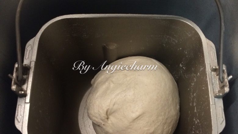 黑麦乡村面包佐鹰嘴豆泥,全部面团所用的食材倒进面包机搅拌缸,开启揉面程序。