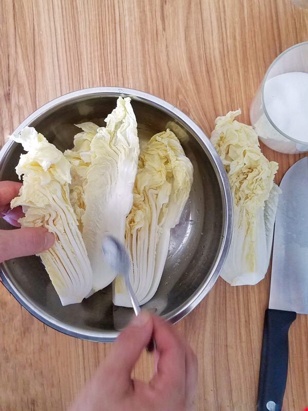 辣白菜豆腐汤,用少许盐均匀的抹在白菜的每一叶上,腌制半天时间,天冷的时候可提前一天腌制;
