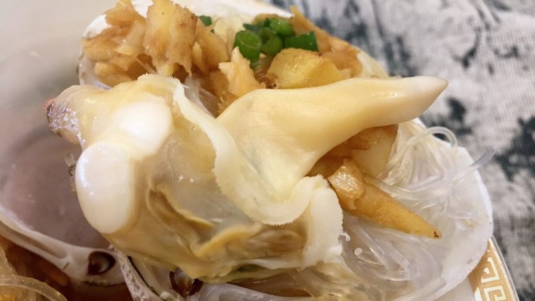 蒜蓉粉丝贵妃蚌(多粉丝版,肉刚刚好,一点都不会老。