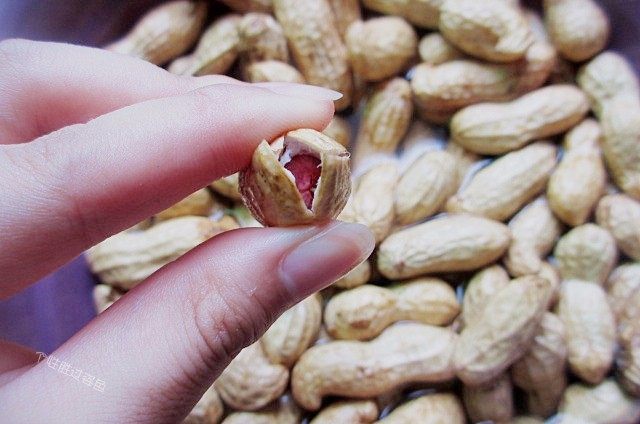 五香花生煮毛豆,为了入味快,花生用手捏开一条缝。