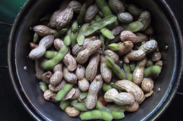 五香花生煮毛豆,大火煮10分钟,不要盖盖子煮,要不然毛豆会发黄的