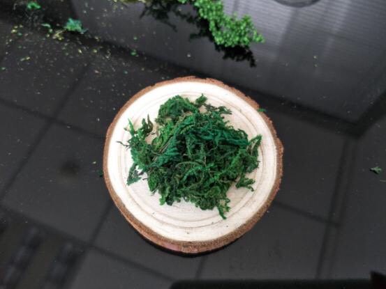 雪糕瓶子不要扔!梦幻水晶球你值得拥有!,从材料包里拿些绿草出来,先大致拼一下形状,然后在木桩上涂满热熔胶,将绿草黏上去,做底。