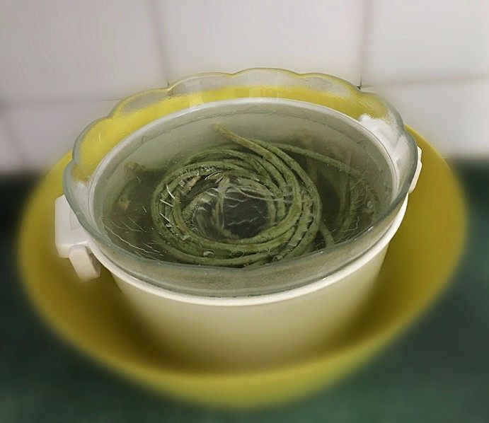 肉沫酸豆角,底部可加一个大容器以防盐水渗出,放至通风处