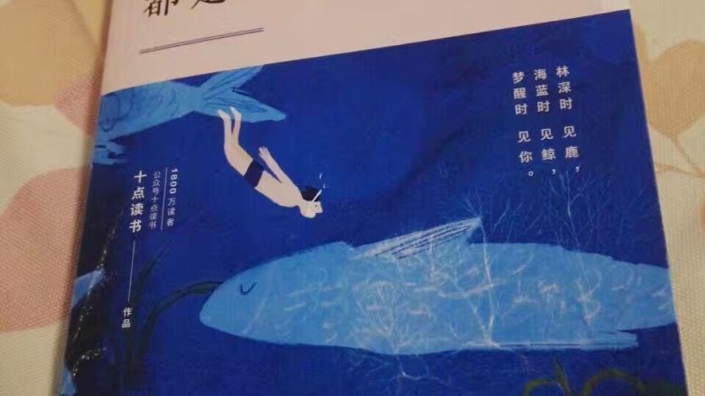 自制黄桃罐头,美食当前,不要忘记学习哦