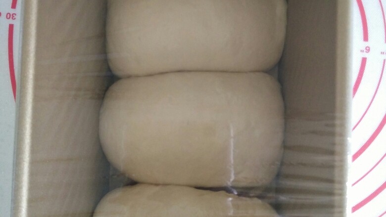 快捷土司(一次醒发,无黄油),盖上保鲜膜,不用保鲜膜,直接盖上盖子也可以,我是为了方便观察。
