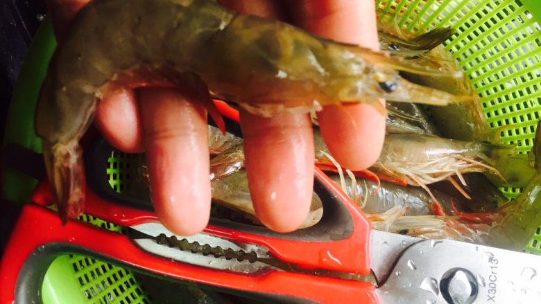 原汁原味白灼虾🦐,先把虾须剪掉.锅里准备煮开开水