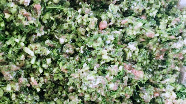 茴香肉蒸包,搅拌均匀,可以品一下咸淡,如果淡可以放入适当的盐