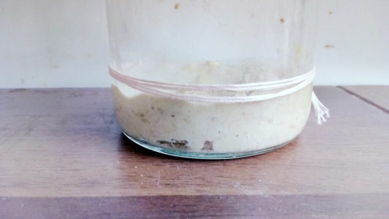 葡萄干天然酵母,把葡萄种液和全麦粉混合,用刮刀搅拌均匀,扎个绳子做标记记录高度