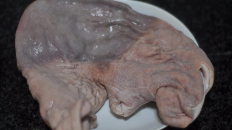 黑豆炖猪肚,清洗干净的猪肚子汆烫,沥干水