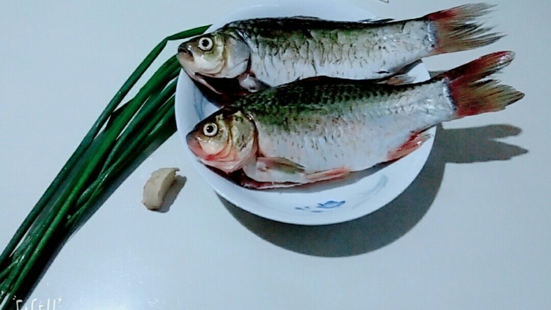 香浓鲫鱼汤,主用食材,