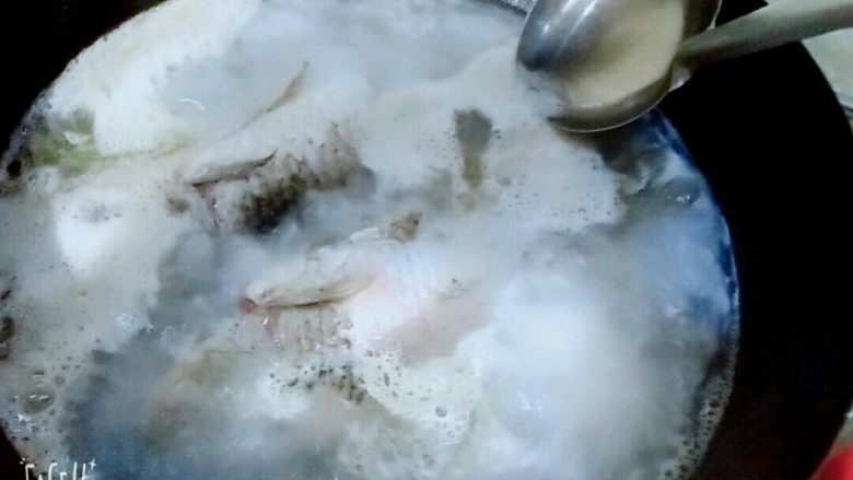 香浓鲫鱼汤,烧开漂去浮沫