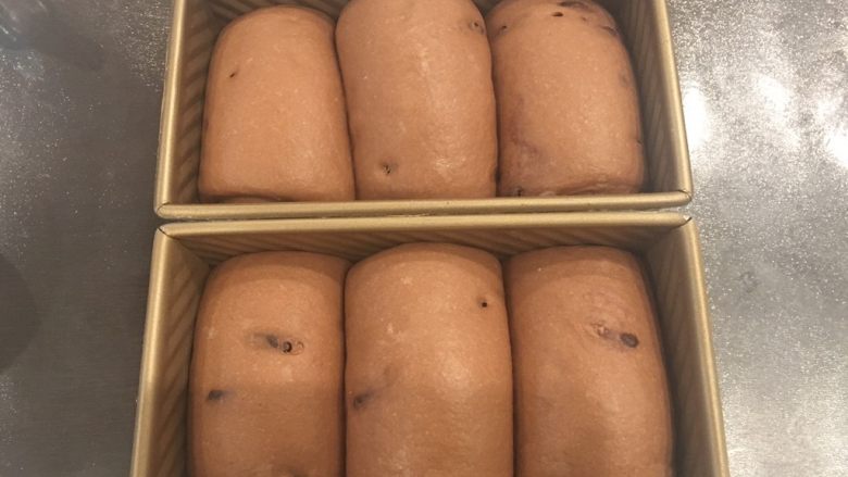 酸奶巧克力豆吐司,发到9成满,表面喷水