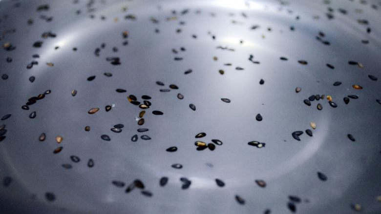 香爽红糖冰粉,这个时候冰粉处于半凝固状态,撒入的芝麻会均匀分布在冰粉中!后面吃起来特别好,口感均匀!