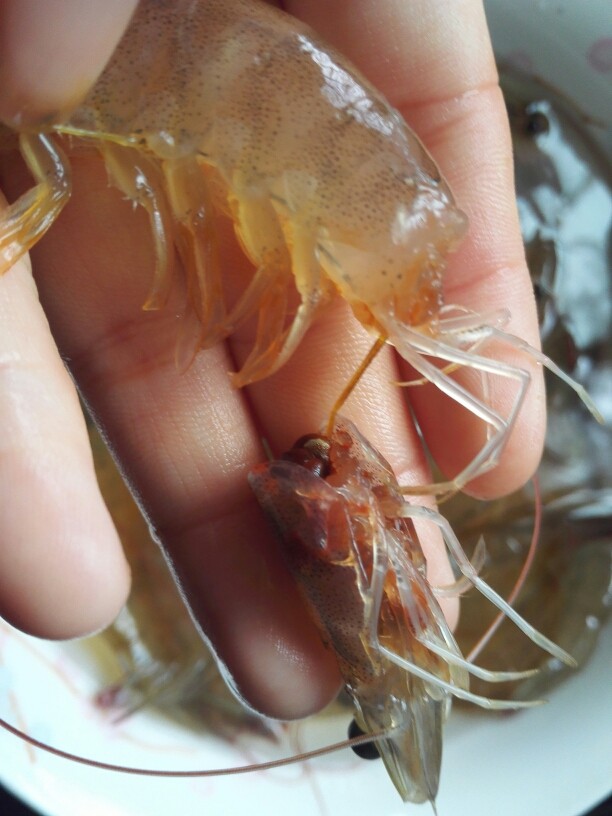蒜蓉粉丝蒸虾,把虾头部去掉,去掉的同时把虾线去掉
