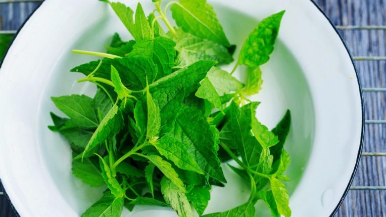 荆芥炒土豆丝,这种长的像薄荷的野菜叫做<a style='color:red;display:inline-block;' href='/shicai/ 3759'>荆芥</a>，味道清香，是传统的发汗清热的一味中药草，用来做菜吃有防治感冒的作用。