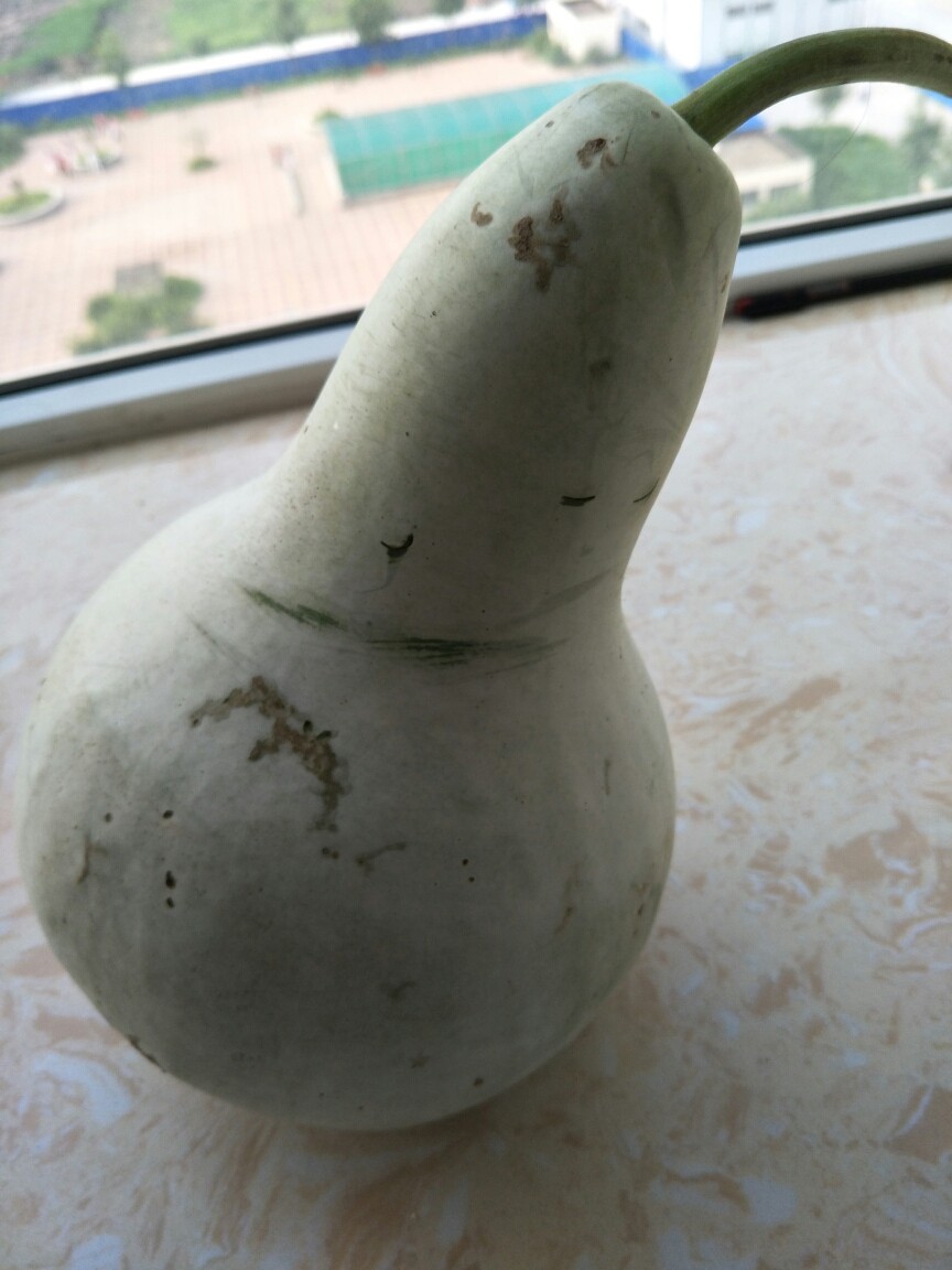 葫芦肉馅饺子