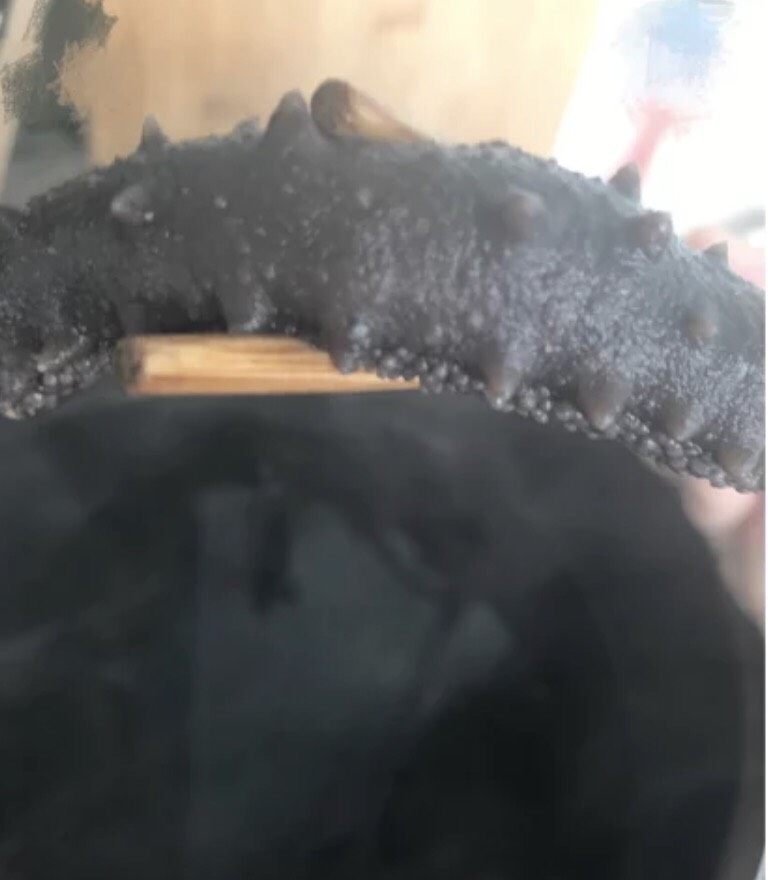 海参泡发(普通锅煮),这种状态就可以