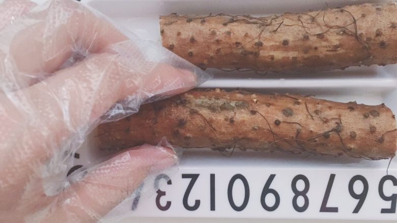 山药之黄金滚滚,
食材处理:处理山药一定要戴一次性手套,不然后劲儿痒的嘞