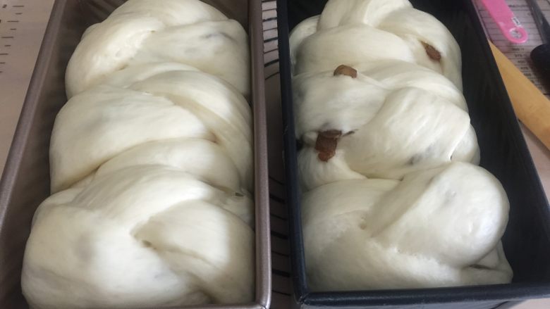 炼奶提子吐司,发酵好的面团大约有9分满