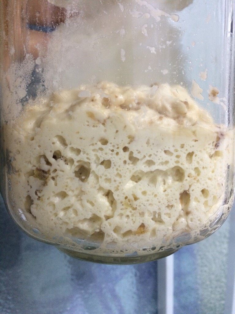 天然酵母宝宝的成长记,酵母宝宝慢慢长大,发至两倍大时,放冰箱冷藏发酵。第三天早上7:30再第二进行喂养,同等的水量和高粉,静置发酵至二倍大,再放冰箱冷藏发酵。第四天第三次喂养同上次一样操作。