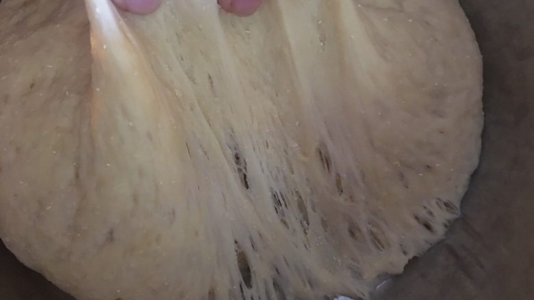 超软中种红糖杂粮吐司,扯出来底下是这样子的,证明中种面团好了。