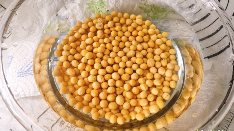 满满胶原蛋白的黄豆焖猪蹄,黄豆里面倒入适量清水(材料之外的),提前两个半小时泡发。