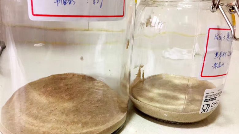 天然酵種培養記,第二步:把第一步的酵種與配方中的面粉和水充分攪拌,放入清洗過的容器,加蓋,室溫下靜置24小時。