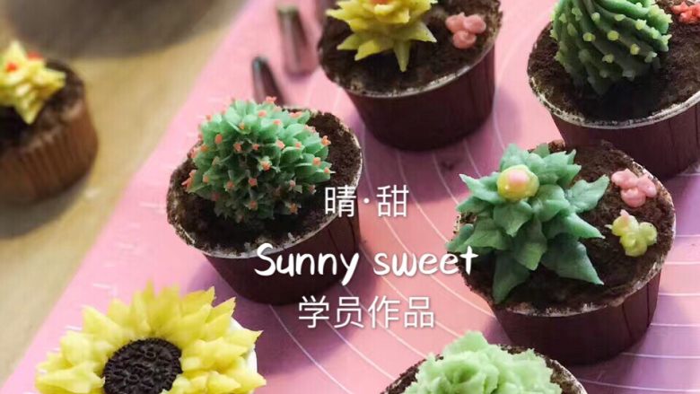 豆沙裱花多肉杯子蛋糕,零基础学员半天时间的作品,是不是棒棒哒,赶快学起来吧!