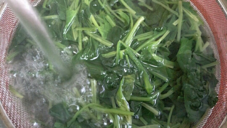 凉拌鸡肉菠菜,然后过凉水投凉~