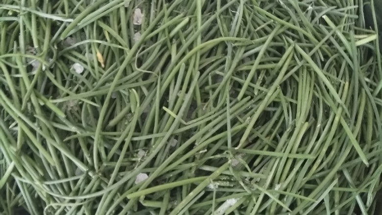 沙葱大肉馅饺子,分拣好沙葱~挑出杂草,洗净控干~