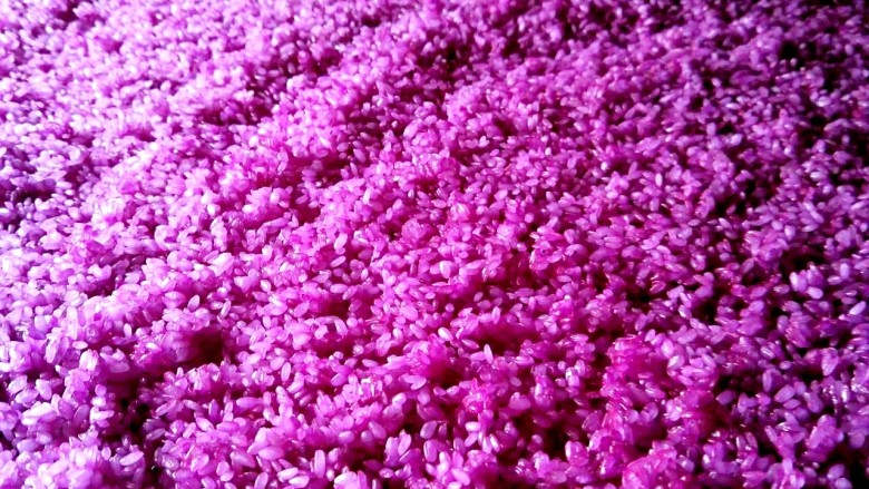 云南花米饭,把花米饭放阴凉处风半干,然后慢慢揉开把半干的米饭分成粒……(建议放凉后放入冰箱冷藏一晚上把米粒分开再阴干)千万别阴天做,米饭会发霉。选天晴的时候,家里通风好的地方阴干。