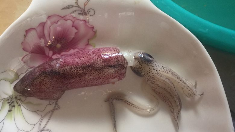 蒜蓉蒸小鱿鱼,把鱿鱼须放进去,就可以摆盘了