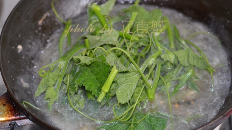 上汤南瓜尖,水开后,下入南瓜藤。
