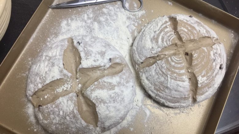洛可可香蕉面包(水果种),醒发好后将面包篮里的面团倒扣在烤盘里,用剪刀剪开,撒上面粉