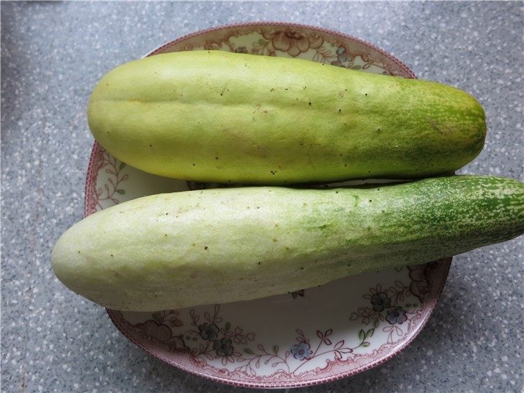 老黄瓜也有春天---黄瓜鸡翅,所用黄瓜是这种地黄瓜,粗壮形的