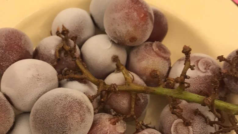 香蕉冰激凌 无糖无奶油,香蕉块和奶浆一起倒入料理机,打泥,细腻点会比较好。
ps:减肥的其他什么也别放,不减肥的就随意啦。可以放点奥利奥碎什么的增加口感。
