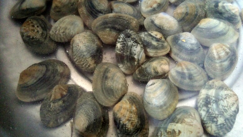 彩椒风味花蛤,买新鲜花蛤，新鲜!买的时候最好选头钻出来了的 😂