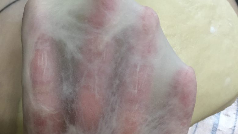 蔓越莓排包(直接法),揉好的面团有弹性,手套膜清晰