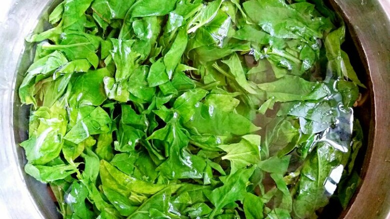 三色杯子蛋糕,菠菜叶洗干净后,放开水焯一下,捞起再放入一盆冰水中