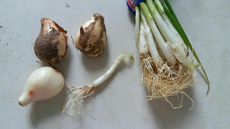香菇牛肉酱,先带大家认识一下配方里的葱果,就是小葱的果实,个人感觉比洋葱好吃