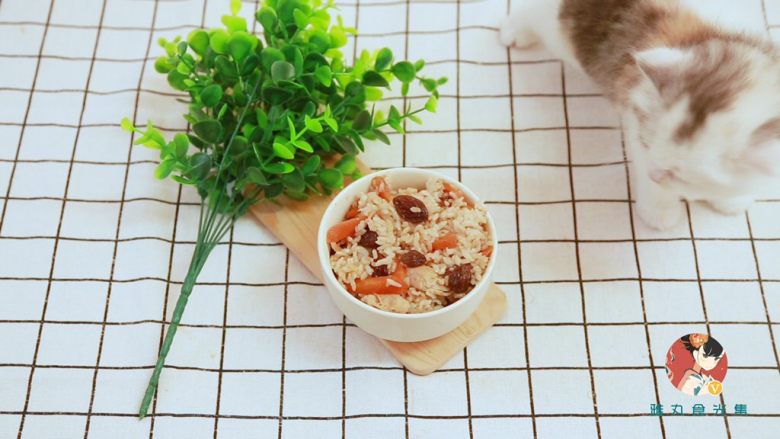 鸡胸肉糙米手抓饭(新疆味道),嘻嘻旁边的小奶猫是不是很可爱~