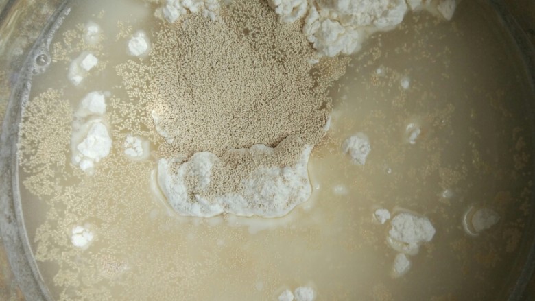 椰蓉泡浆小排包,中种材料全部混合用刮刀拌匀,盖上保鲜膜常温发酵1小时后,放入冰箱冷藏一夜,可以提前一天做好。