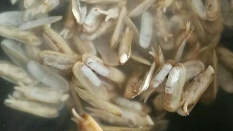 剁椒花甲,锅里水烧开倒入花甲(借蛏子图一用)