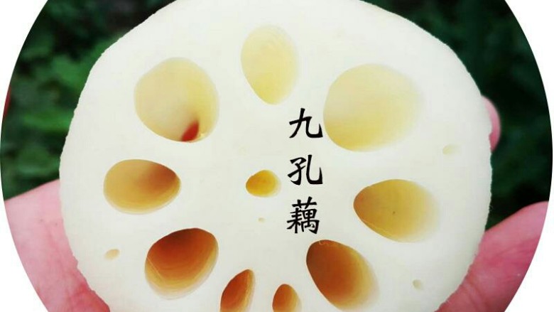 蒜香九孔藕片,九孔藕，适合炒菜